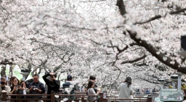 전국 미세먼지 '나쁨'…낮 최고 23도 포근하지만 일교차 주의