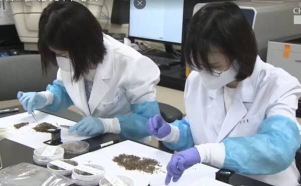 경기도, 말라리아 매개 모기 감시사업 추진…"7~9월 최다"