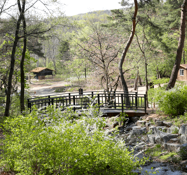 서울대공원 '치유의 숲' 10년 만에 서울시 최초 공립 승인, 프리미엄 서비스 강화
