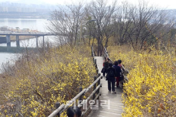 포근한 봄날 이어지지만…큰 일교차·건조한 대기에 전국 화재 비상