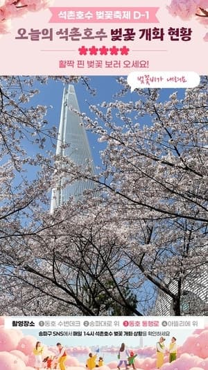 송파구, "석촌호수 벚꽃 지금은?" 개화 카운트다운 SNS 중계 시작