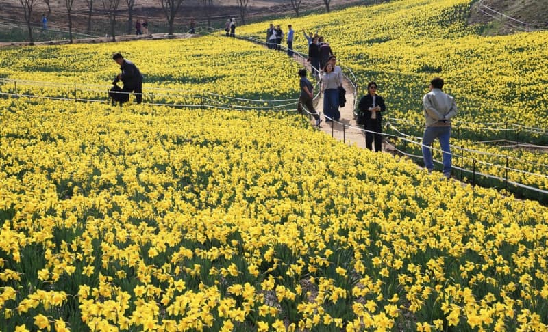 낮 최고 25도 포근한 봄날, 미세먼지 '나쁨'…큰 일교차·건조주의