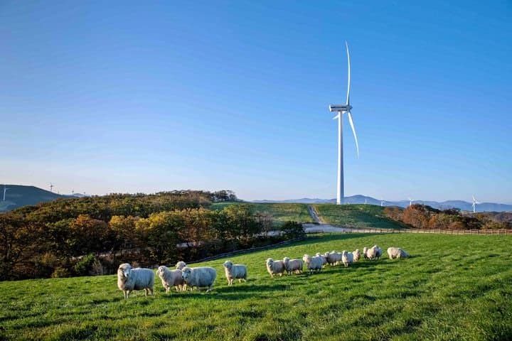 평창 모나용평·삼양라운드힐, '강원 우수 웰니스관광지' 선정