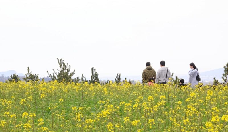 "미세먼지 주의하세요"…낮 최고 22도 '완연한 봄' 날씨, 일교차는 '주의'