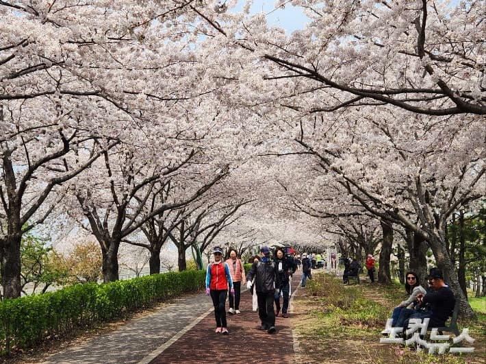 “가성비 세계 1위” 부산, 日 골든위크·中 노동절 겨냥 글로벌 마케팅 추진