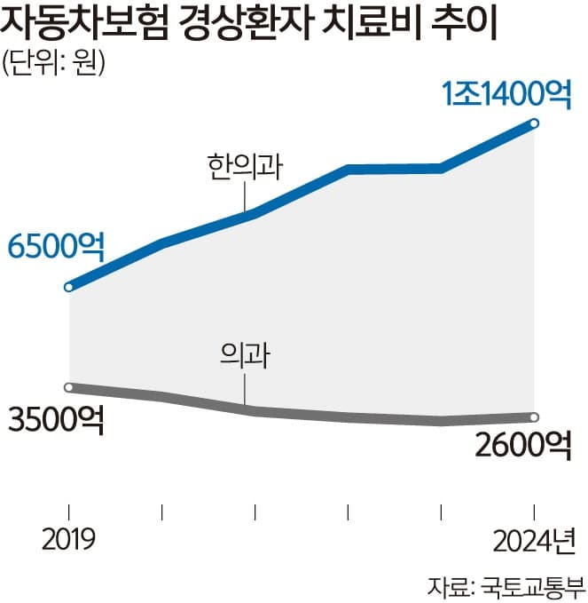 자동차보험 '8주룰' 도입 또 연기, 보험업계·한방 의료계 논쟁 확산