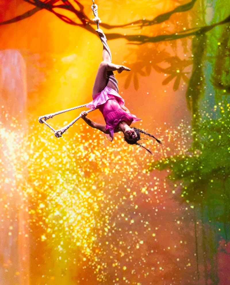 에버랜드, '월클' 서커스·불꽃놀이로 환상적인 쇼타임 선사