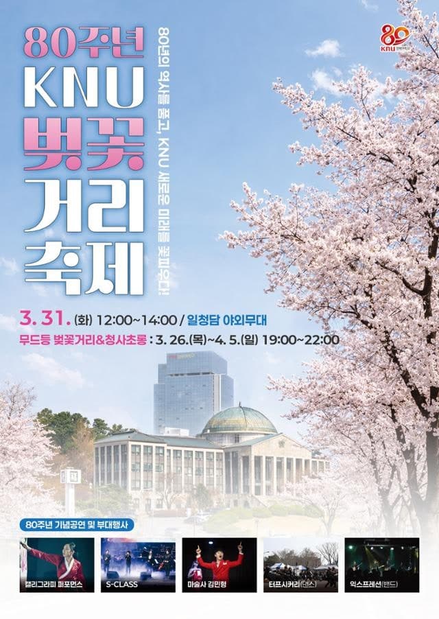 경북대, 개교 80주년 기념 'KNU 벚꽃거리 축제' 개최…"캠퍼스 벚꽃에 흠뻑 빠지다"