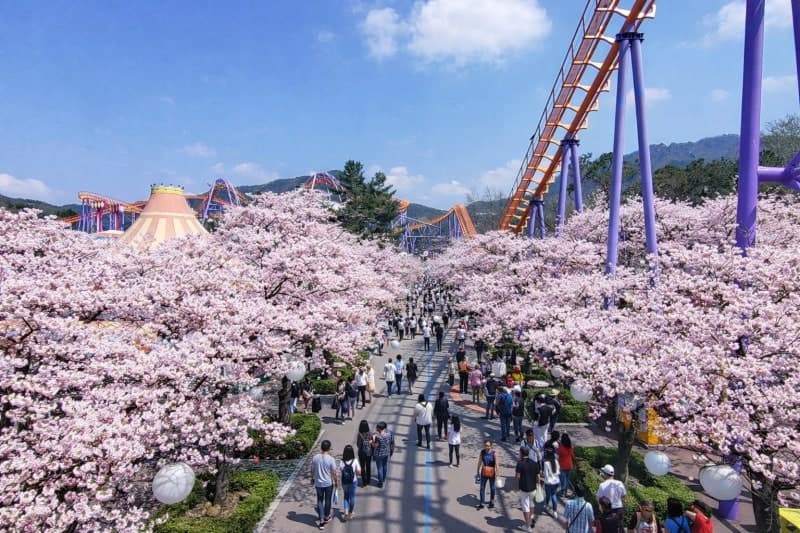 서울랜드, 만우절 '속아드립니다' 이벤트…에버랜드 회원 무료입장