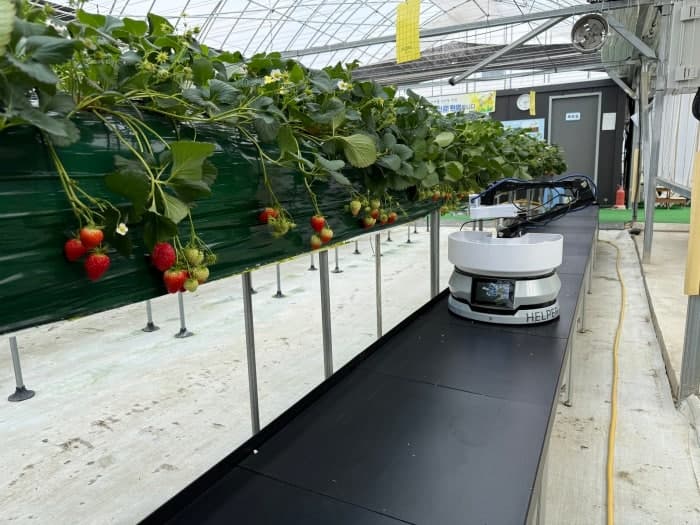 강남구, 로봇 친화도시 조성 박차…'로봇 테스트베드 공모사업' 참여 기업 모집