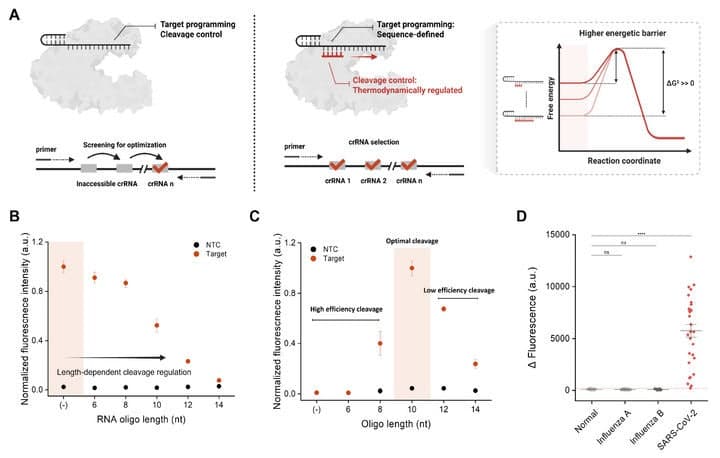 GIST, 20분 내 PCR 수준 정확도로 다양한 질환 진단하는 범용 유전자 검출 기술 개발