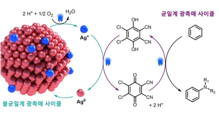 KAIST "의약품 핵심 원료, 햇빛·공기로 만든다" 친환경 촉매 기술 개발