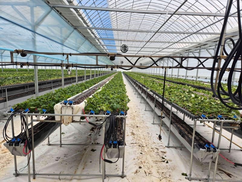 전남도, 친환경농업육성기금 70억 저리 융자 지원…57개 농가 혜택