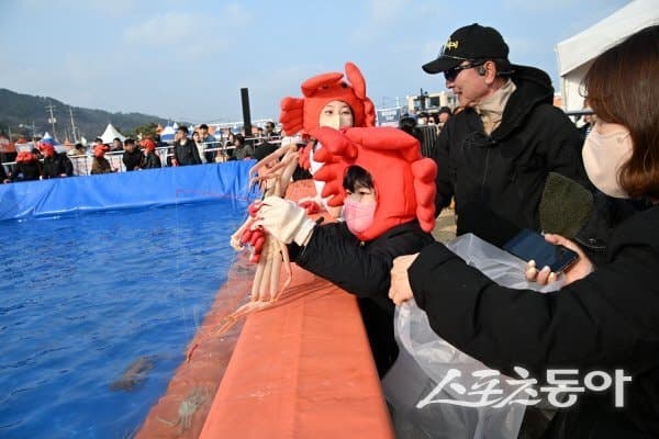 영덕대게축제, 8만 인파 몰려 성황…'신뢰'와 '체험'으로 흥행 완성