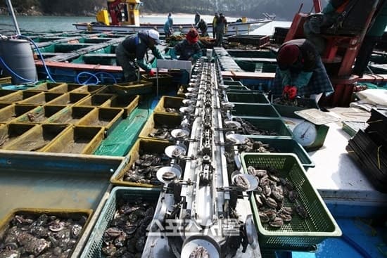 해남군, "헐값 수산물 옛말" 유통·가공 허브 구축에 106억 투입