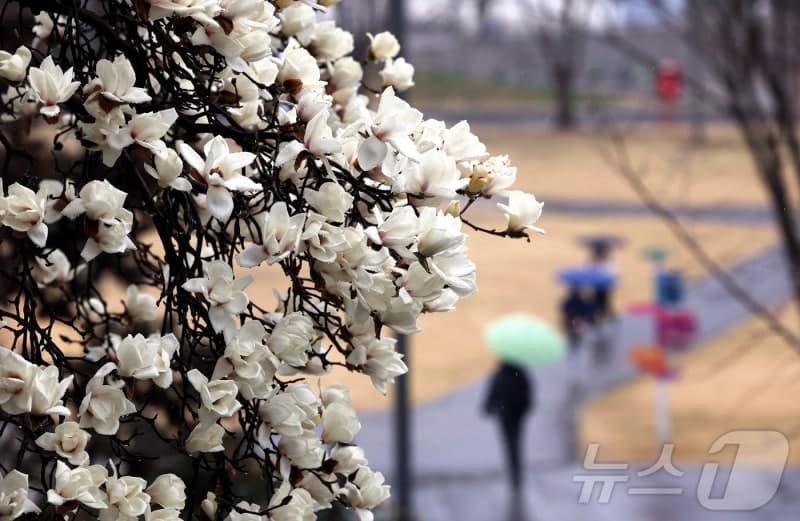 “출근길 우산 챙기세요” 전국 흐리고 봄비…수도권 등 미세먼지 ‘나쁨’