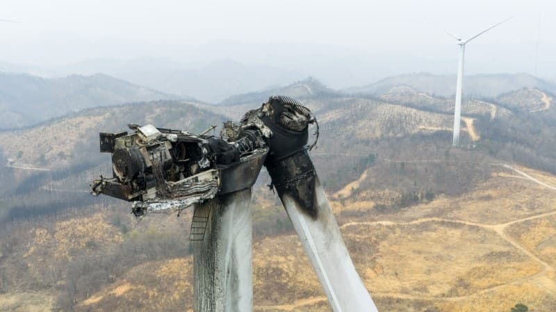 대구안실련 "영덕 풍력발전 사고는 인재…안전관리 개편해야"