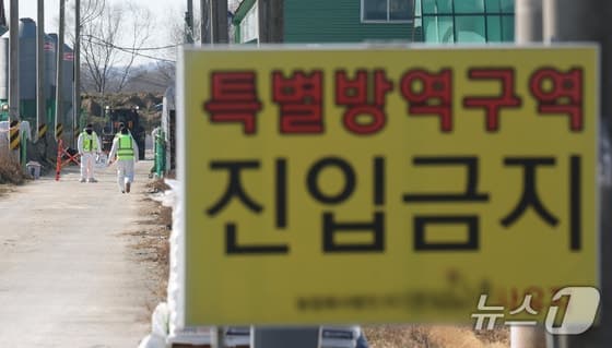 익산 함열 산란계 농장서 조류인플루엔자 H5형 항원 검출