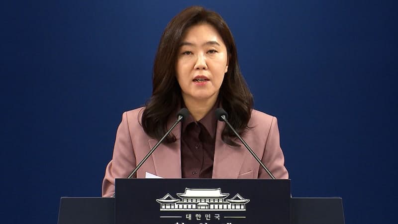 청와대 "'긴급재정명령권'은 예시로 든 것…모든 정책 동원 의미"