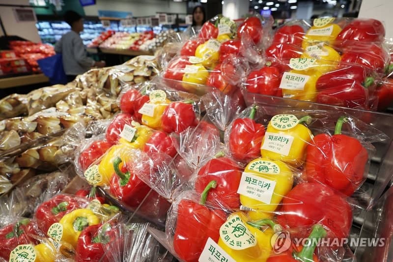 농식품부, 국산 신품종으로 '수출 다변화'…포도·딸기 중심 시장 확대