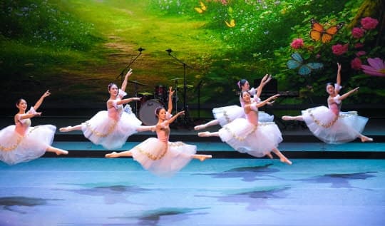 세종시, 매주 수요일 '문화가 있는 날' 확대 운영…"공연·할인 혜택 강화"