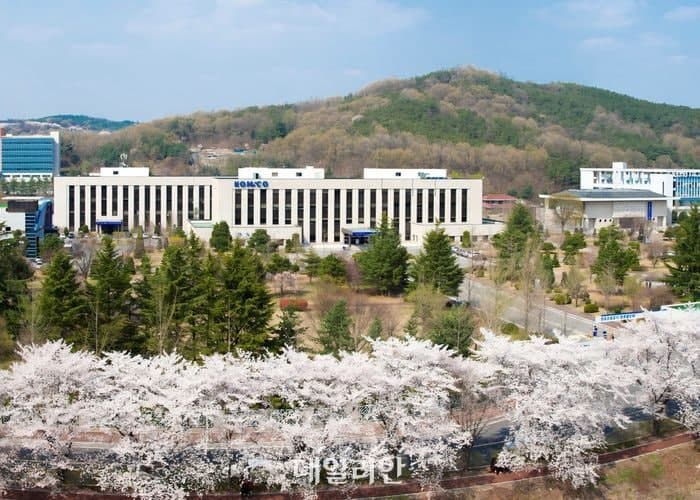 조폐공사, 대전 화재 참사 애도하며 2026년 벚꽃 페스티벌 전면 취소