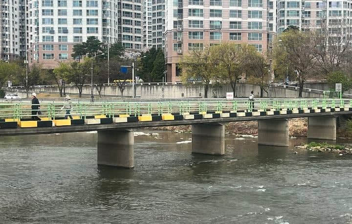 대구 캐리어 50대 여성 시신, 20대 딸·사위 범행 시인