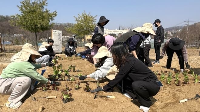 관악구, 고립 청년 마음 돌보는 '청년 치유 힐링팜' 본격 개장
