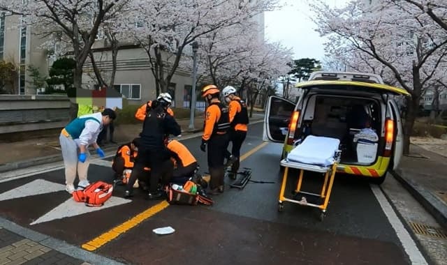 울산 아파트 단지 횡단보도서 9세 아동 SUV에 치여 숨져