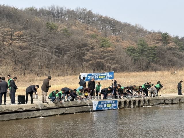 영덕군, 오십천에 '황금 은어' 40만 마리 방류…자원 회복 박차