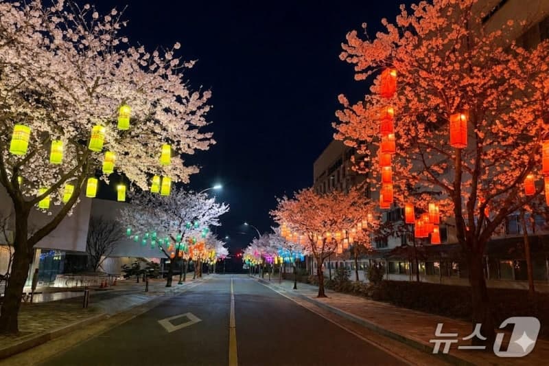 진주시, "색다른 야경 명소로" 벚꽃·실크등 어우러진 '진주실크로드' 조성