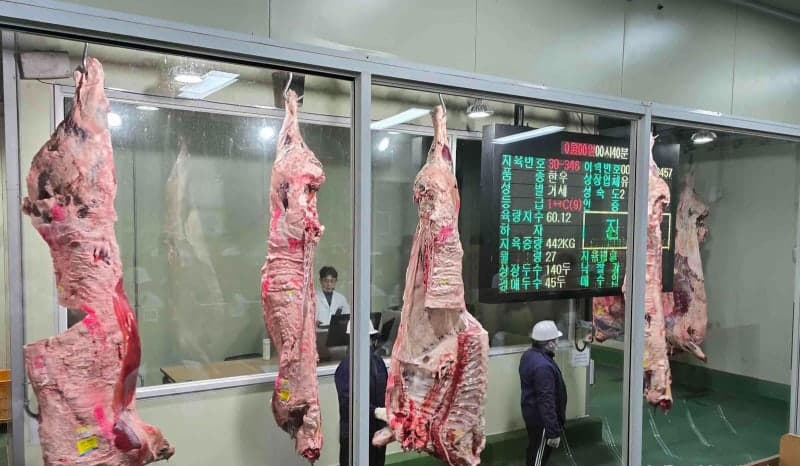 홍성 한우, 홍콩 미슐랭·호텔에 매달 공급…글로벌 시장 공략 확대