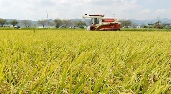 정부, 5월부터 '사상 첫 농지 전수조사' 착수…경기도 등 투기 타깃