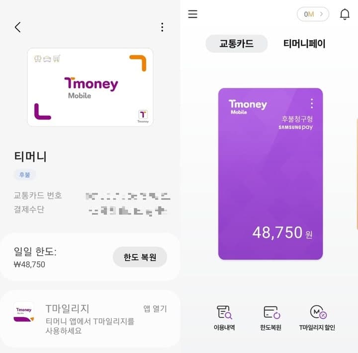 "기후동행카드 쓰면 10% 돌려준다" 티머니, 첫 이용자 충전액 페이백 프로모션