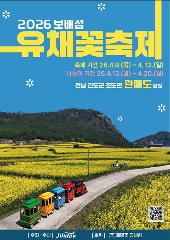 진도군, '보배섬 유채꽃 축제' 9일 개막…관매도 7만5천평 황금빛 세상