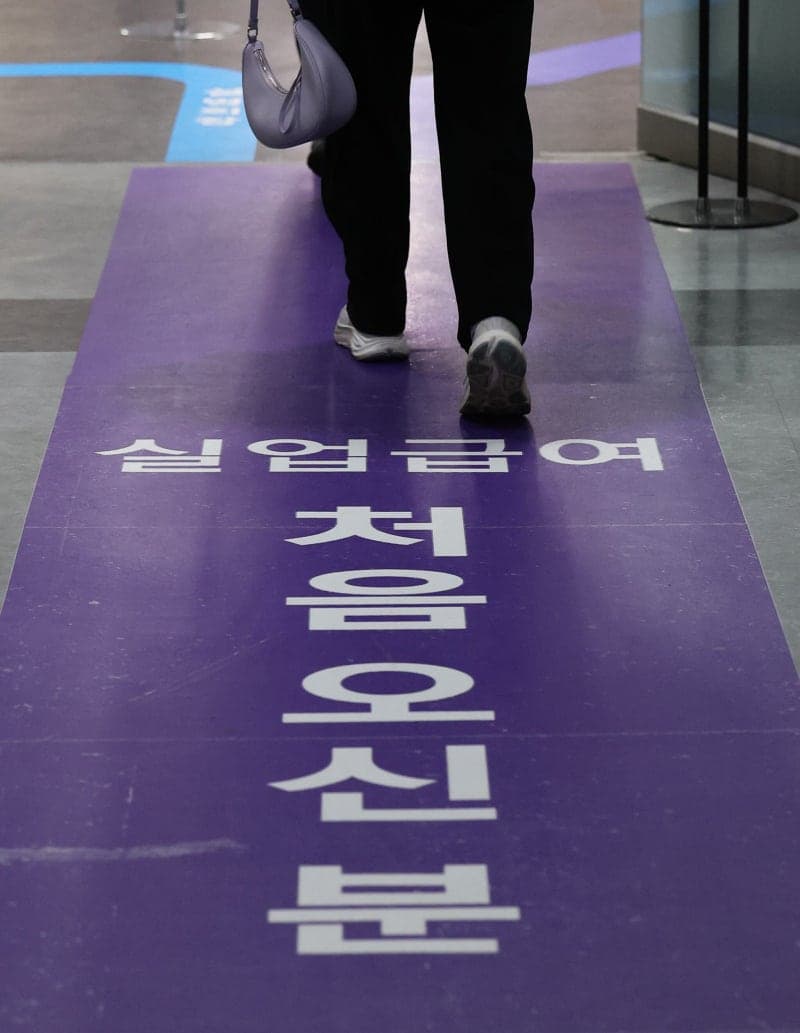 고용보험 부정수급 기획조사·특별점검, 자진신고 시 '5배 추징 면제'