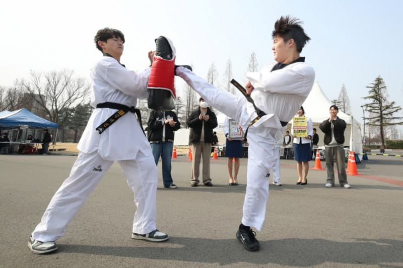 인삼문화·태권도, 유네스코 인류무형유산 등재 신청…2028년 최종 결정