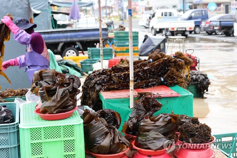 면세유 급등 첫날, 폭등하는 유가에 어민들 시름 깊어져