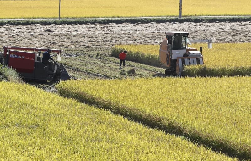 농업경영체 변경신고 안 하면 직불금 10% 감액…논에 밀·보리 심은 농가 24일까지 직불금 신청