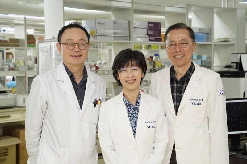 영남대 의대, 노화세포 선택적 제거로 비만·혈당 동시 개선 가능성 제시 "건강 수명 해법 찾았다"