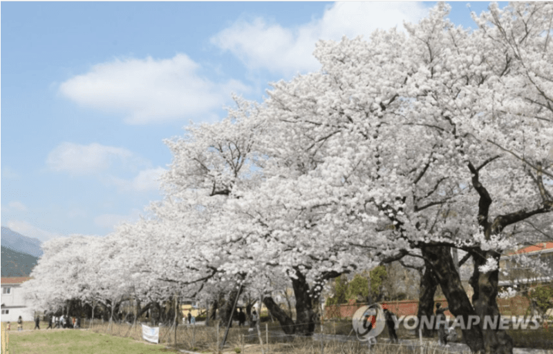 내일 비 그치고 아침 기온 10도 뚝↓…충청남부·호남은 5~10도↓