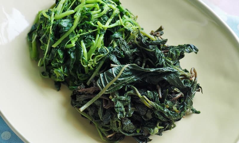 영양서 산나물 라면 먹은 주민 6명 식중독 증세…역학조사 중