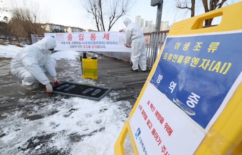 고병원성 AI 특별방역 15일까지 연장…7개 시도 '심각' 유지