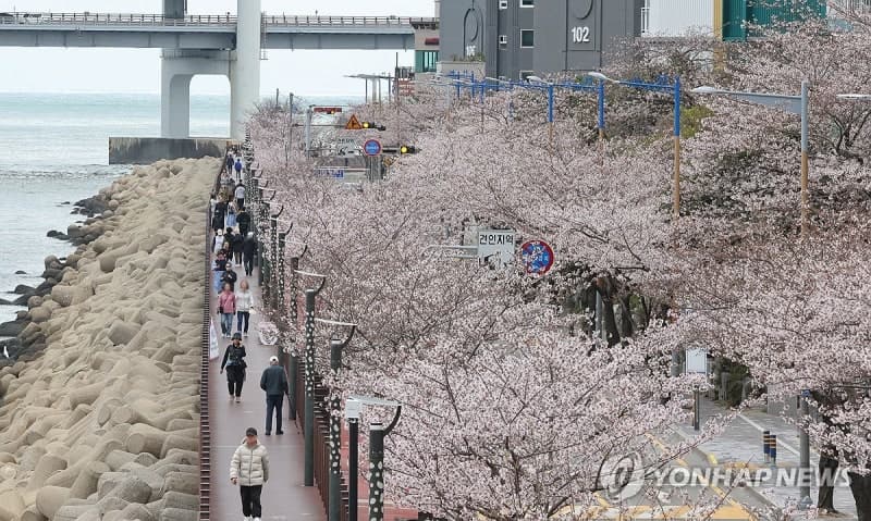 전국 흐리고 봄비, 포근한 날씨 속 미세먼지·안개 주의
