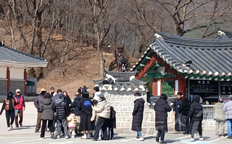 "봄꽃 따라 강원여행"...4월 축제와 혜택 쏟아진다, 관광객 유치 총력