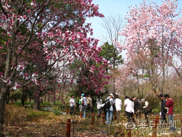 포항 기청산식물원, '꼭 가봐야 할 수목원 10선' 3년 연속 선정 쾌거