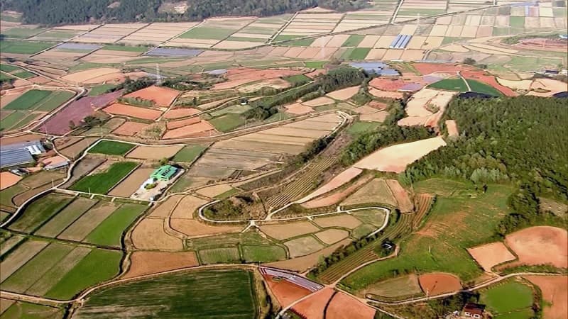 5월부터 사상 첫 농지 전수조사…수도권 투기 위험군 현장점검 "적발 시 매각 명령"