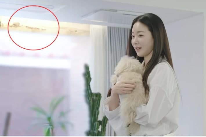 김사랑 "비 새서 배변패드 깔고 살아"…유명인도 당한 인테리어 '먹튀'·부실공사