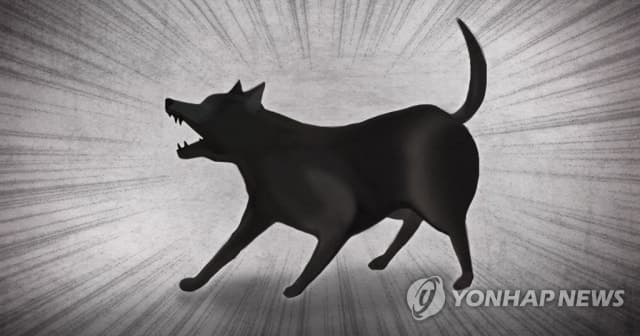 “입마개는 커녕 목줄도 없어”...달려드는 진돗개 막다 60대 손가락 절단