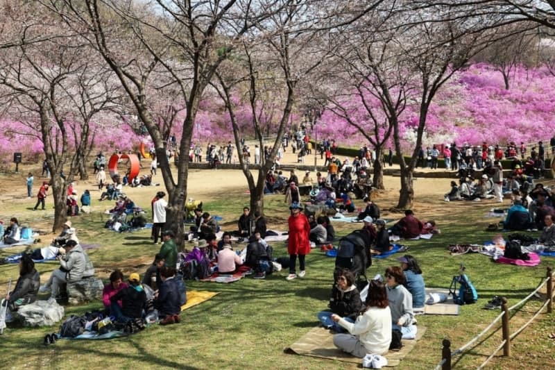 "도시 전체가 축제장"…부천시, 사계절 통합 브랜드 '부천 페스타' 본격화